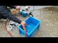 本日の作業内容（水圧テスト）