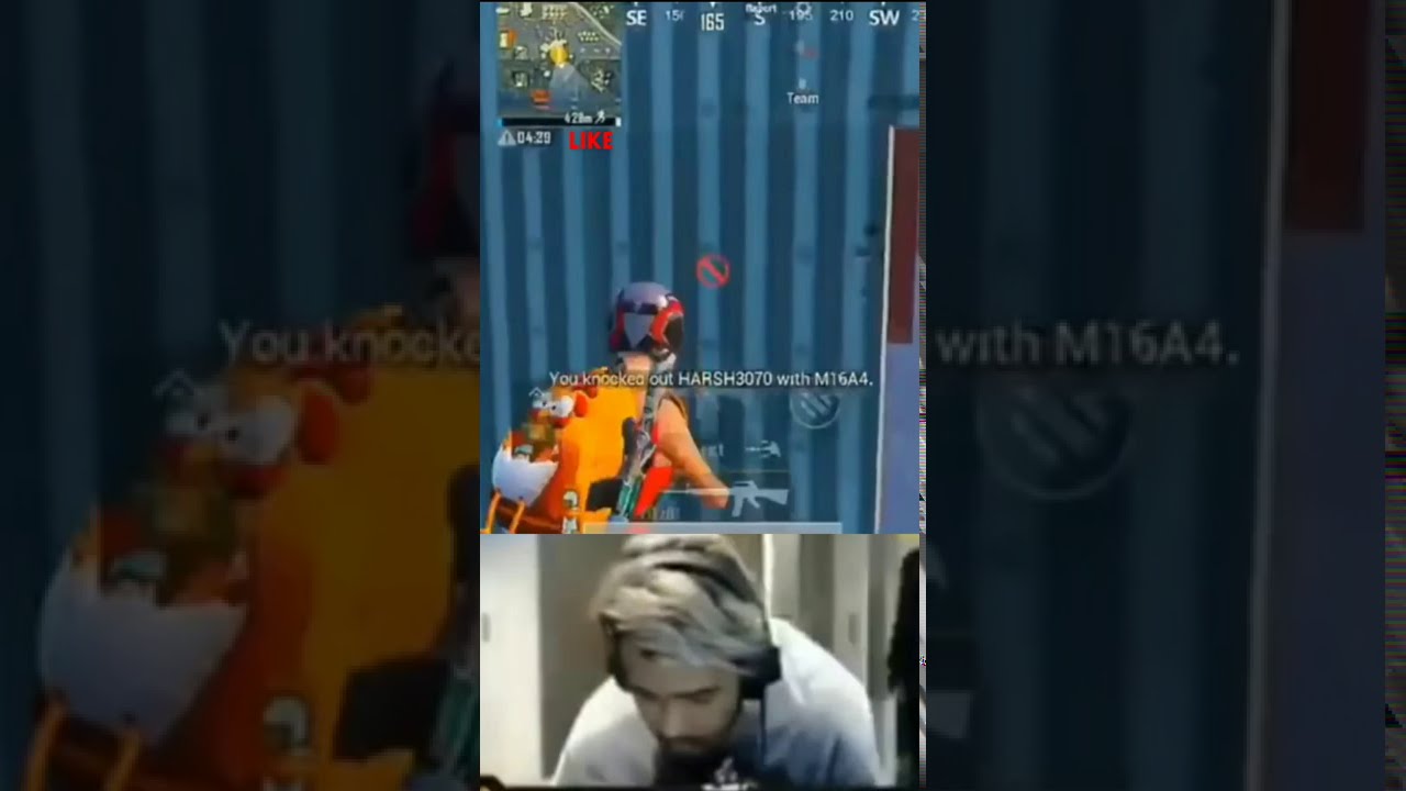 Scout M16A4 Squad Wipe || Scout M16A4 1v4 Clutch Classic Match || broad gaming