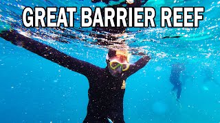 Snorkeling the Great Barrier Reef