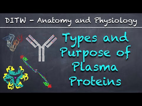 DITW - Types and Purpose of Plasma Proteins