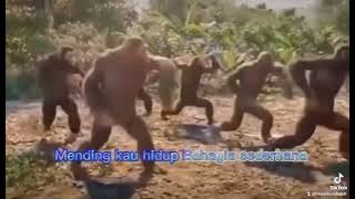 LAGU KOCAK MISKIN BANYAK GAYA