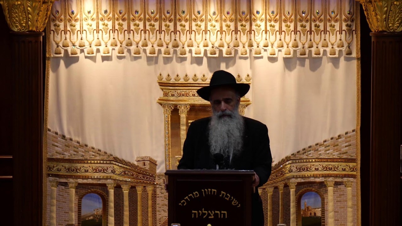 הרב מאיר דוד שמואלי שליט"א - שידור חי יום ב' - פרשת ראה תשפ"ו