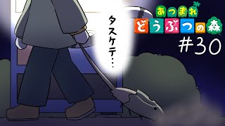 【 あつまれどうぶつの森 】久しぶりに夜の島と行こうじゃないか #30【白瀧炬燵/One Lyric】