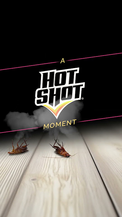 Hot Shot® Ant, Roach & Spider Killer - Multiple Scents
