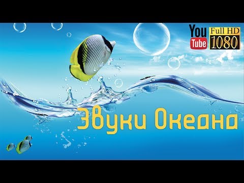 Смотреть клип 30 мин 🎵Бета Волны🎵Лучшая Лаунж Музыка для Релакса 🎵Спокойная Эмбиент Мелодия на Каждый День онлайн бесплатно в качестве Смотреть клип 30 мин 🎵Бета Волны🎵Лучшая Лаунж Музыка для Релакса 🎵Спокойная Эмбиент Мелодия на Каждый День онлайн бесплатно в качестве