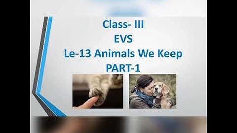 Class III EVS Lesson 13 ANIMALS  WE KEEP