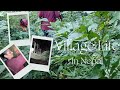 Life in a Nepali Village : My Mom’s Hardworking Day in the Field
