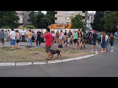 Video: Protesti I Gradilišta