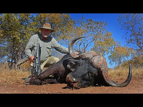 Cape Buffalo Hunt South Africa Outdoors Rambler – Mossberg Patriot and Phillip Bronkhorst Safaris