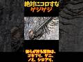 【ゆっくり解説】 ゲジゲジを殺してはいけない理由