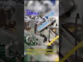 Potato Washing Drying Machine
