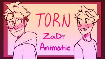 Torn - ZaDr ANIMATIC