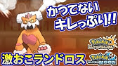 ポケモンusum 強すぎて未解禁 珠ちからずく化身ランドロス ゆっくり実況 Youtube