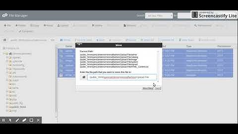 Theme file upload of themes and extension