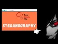 🔍 TryHackMe CC: Steganography - Complete Walkthrough Guide