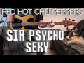 Red Hot Chili Peppers - Sir Psycho Sexy (Bass Cover) - Tabs in description