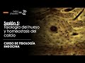 Fisiología del hueso y de la homeostasis de calcio y fósforo