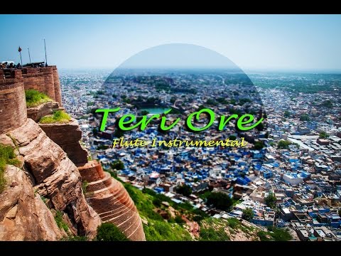 teri-ore--singh-is-king-instrumental,-best-indian-bollywood-instrument