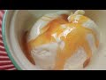 Homemade vanilla ice cream recipe only 3 ingredients