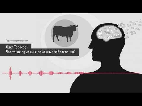 Олег Тарасов: Что такое прионы и прионные заболевания?