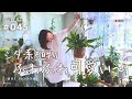 【手強い相手】ネフロレピス苦戦しながらも好きな気持ちは変えられないのよ(Vlog/045)