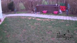 autoquad_hott_dimu_r445_aq6r1 -1st test