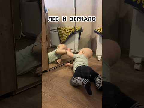 Лев казино зеркало