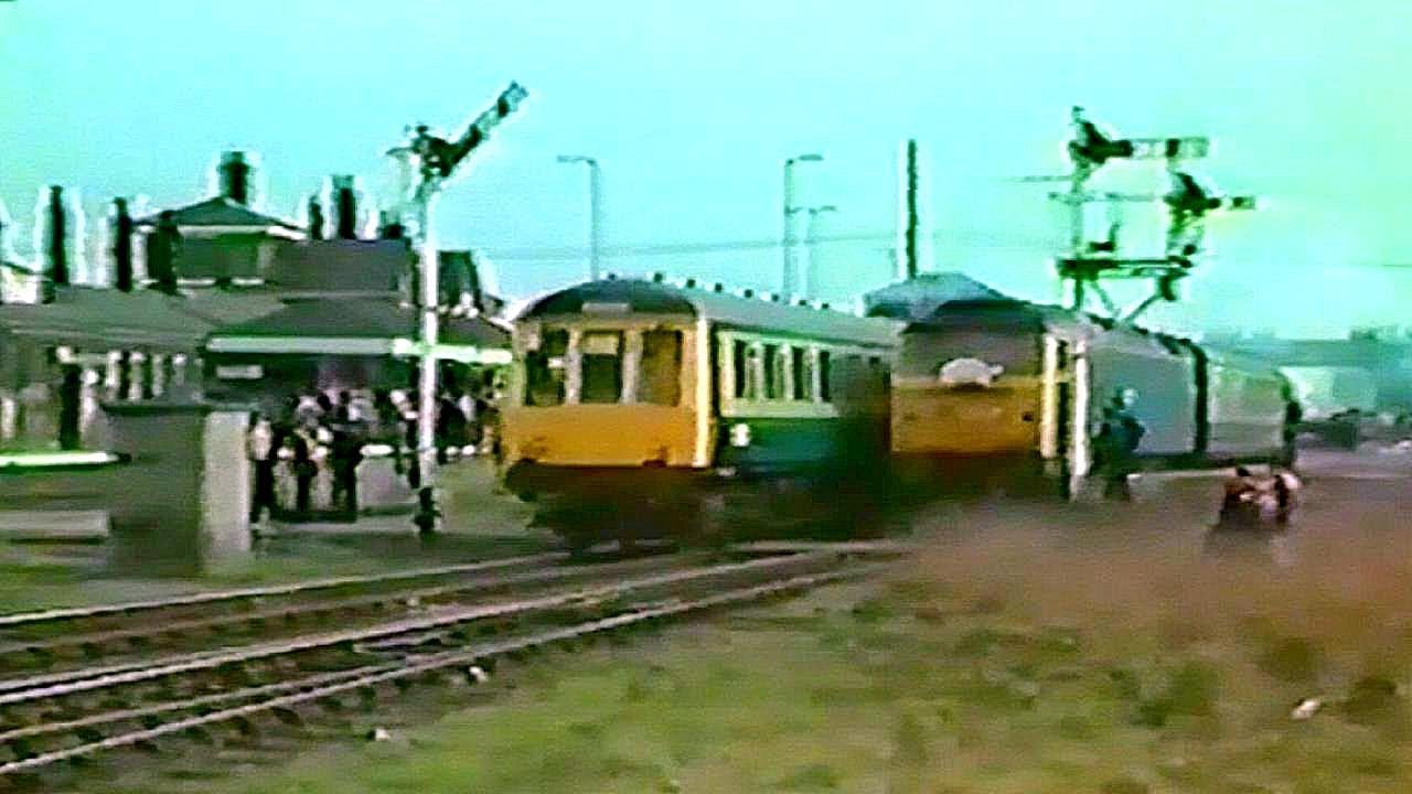 Tulip Specials at Spalding - May 1984