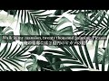 夏に聞きたいオシャレな一曲【和訳】Slide - Calvin Harris, Frank Ocean, Migos