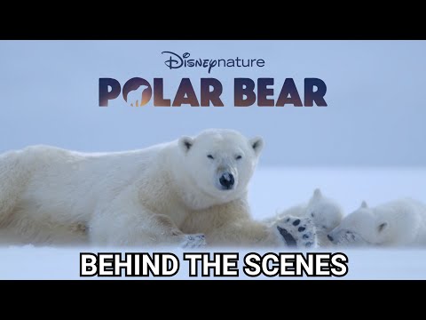 Disneynature POLAR BEAR: Behind the Scenes with directors Alastair Fothergill & Jeff Wilson