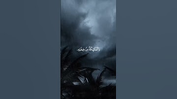 هو الذي يريكم البرق خوفا وطمعا - سورة الرعد - القارئ خالد عبد الجليل