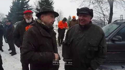 Co se týká lovu prasete divokého?