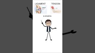 joints and ligaments #viralvideo #bestmedicalcollegeinindia #anatomy