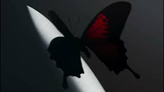 Post Malone - Cooped Up (Feat. Roddy Ricch) [Clean]