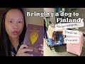 Bringing a dog from Philippines to Finland - Requirements, Process &amp; Timeline + Story Time!