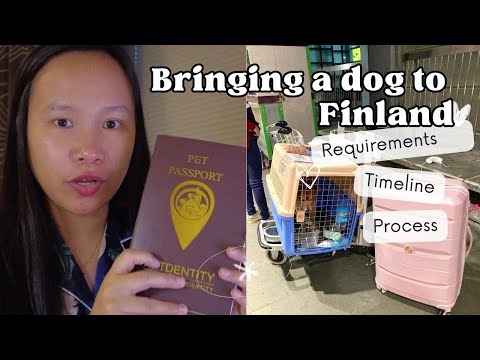 Video: Taking a Dog to Finland