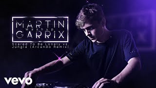 Martin Garrix - Scared To Be Lonely vs. Jungle (Arcando Remix) Martin Garrix Mashup Ultra Miami 2024