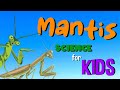 Mantis Learning Quiz