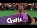 Large Munsterlander | Best of Breed | Crufts 2014 の動画、YouTube動画。