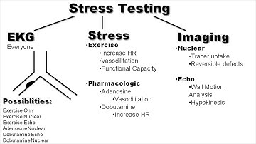 Stress Testing Explained By Cardiologist!