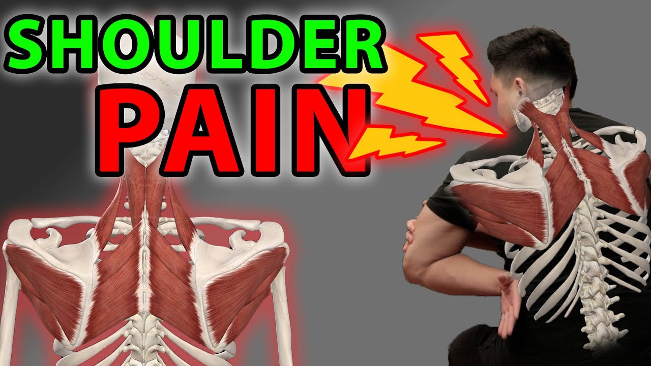 ТОП-8 упражнений на растяжку для облегчения боли в плечах | Узлы, скованность, боли в плечах и ср...
