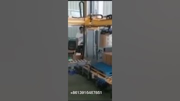 Automatic single column carton palletizer