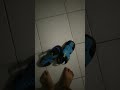 31 Maret 2023 