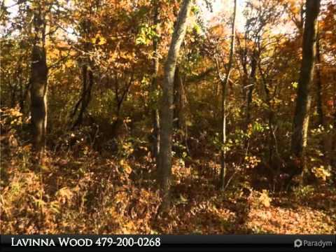 14189 SUGAR MOUNTAIN RD, West Fork, AR home video tour