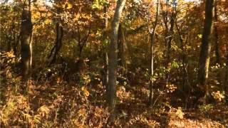 14189 SUGAR MOUNTAIN RD video tour
