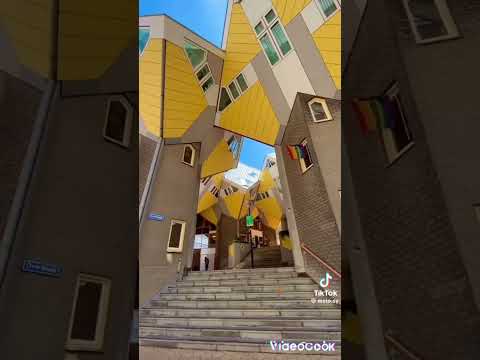 هذه هولندا كرم و شهد