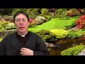 Pure Delight - Fr. Mark Goring, CC