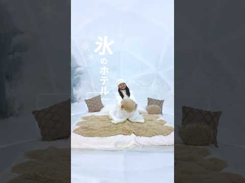 冬限定！氷の世界へ☃️🧊 #北海道 #北海道旅行 #国内旅行 #旅行vlog #星野リゾート 【提供：星野リゾート　トマム】