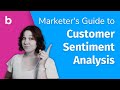 Marketer&#39;s Guide to Customer Sentiment Analysis