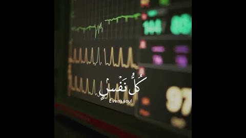 القارئ اسلام صبحي حفظه الله اللهم نور القرآن الكريم في صدورنا( ꈍᴗꈍ)